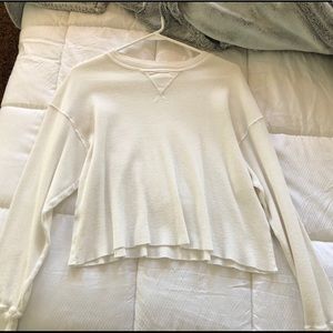White Brandy thermal